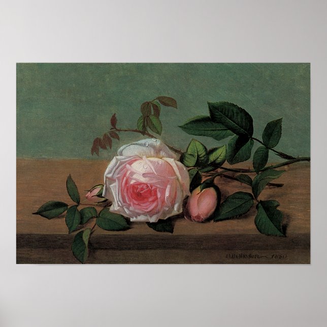Póster La vida de las flores en un borde (Frente)