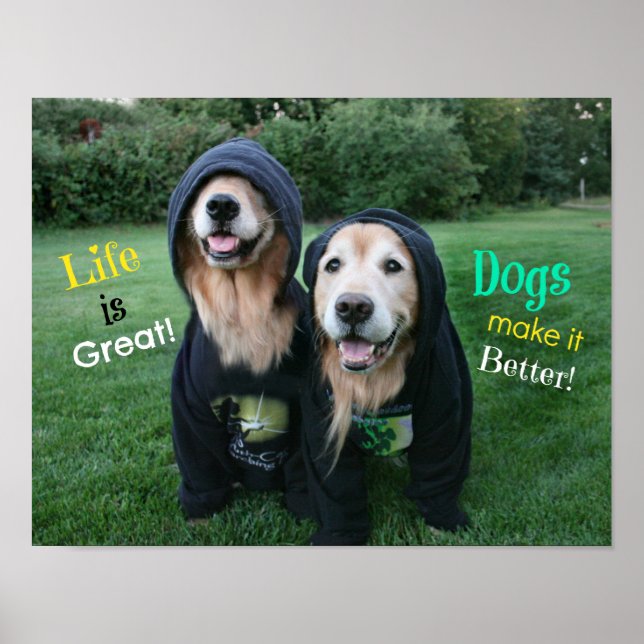 Póster La vida de los Golden Retriever es grande (Frente)