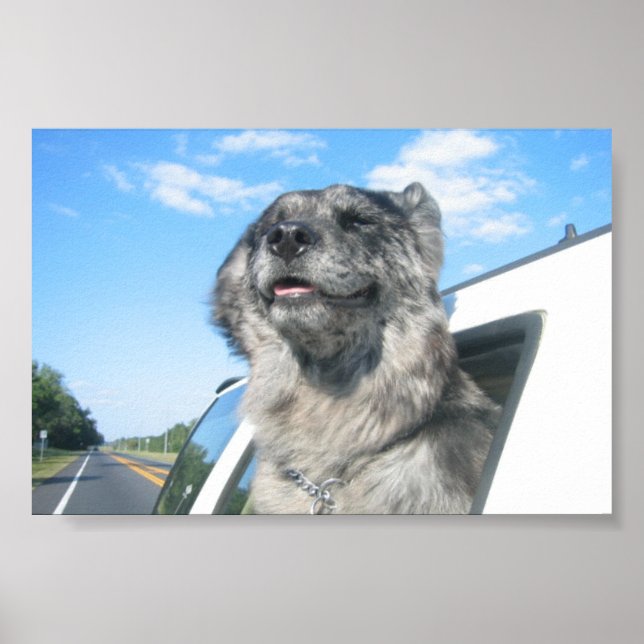 Póster La vida de Lovin (Frente)