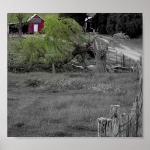 Póster La vida después del desastre