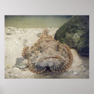 Póster La vida en el mar de Alabama #2 Poster