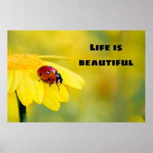 Póster La vida es hermosa - Ladybug
