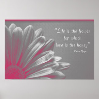 Póster La vida es la flor - la margarita rosada