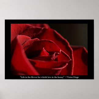 Póster La vida es la Flor - Rosa Roja