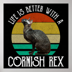 Póster La vida es mejor con un Cornish Rex
