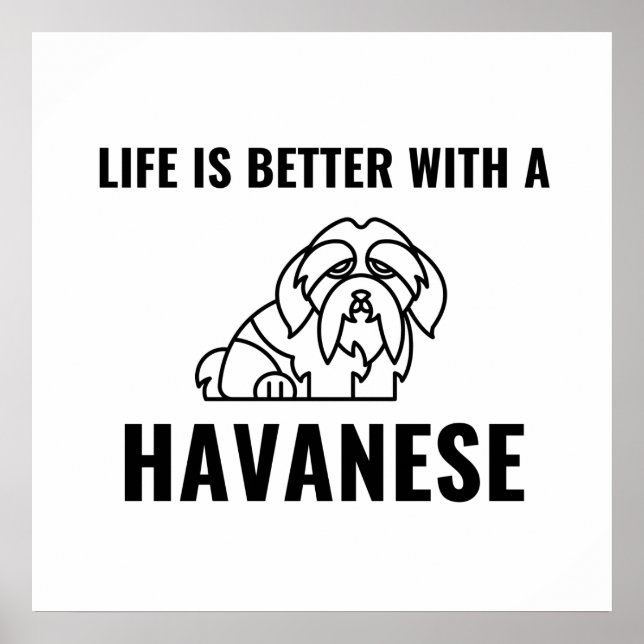 Póster La vida es mejor con un havanese (Frente)