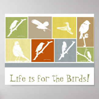 Póster La vida es para el poster de aves