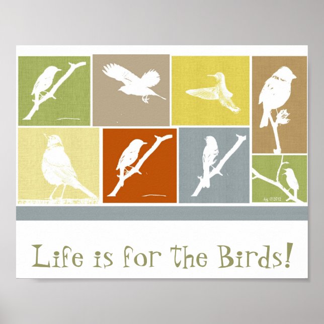 Póster La vida es para el poster de aves (Frente)