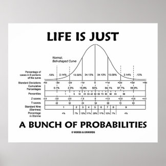 Póster La Vida Es Sólo Un Montón De Probabilidades (Diver