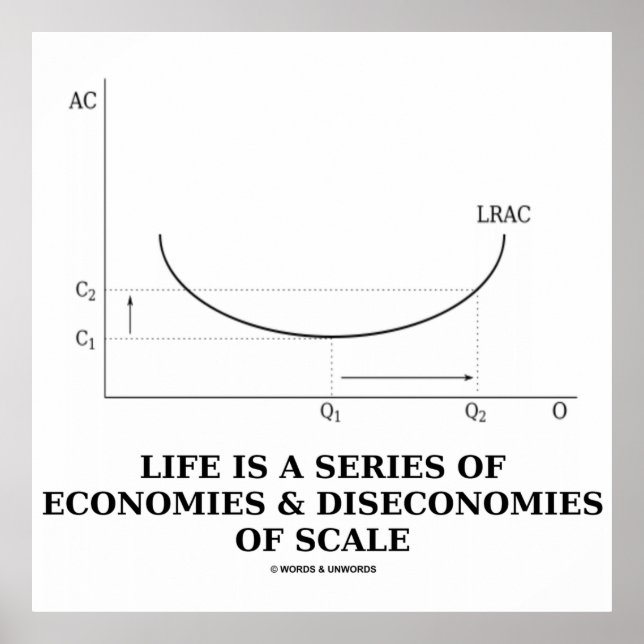 Póster La Vida Es Una Serie De Economías Y Deseconomías A (Frente)