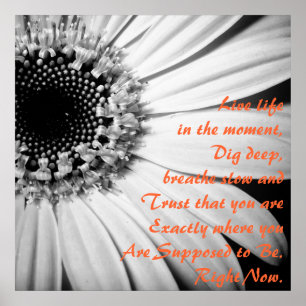 Póster La vida inspiradora en este momento