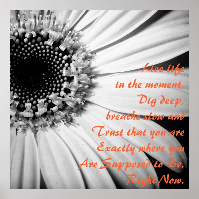 Póster La vida inspiradora en este momento (Frente)