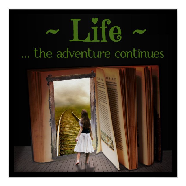 Póster La vida, la aventura continúa (Anverso)