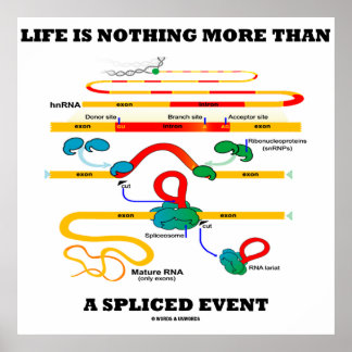 Póster La Vida No Es Más Que Un Acontecimiento Empantanad