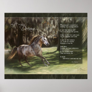 Póster La vida no es más que un sueño