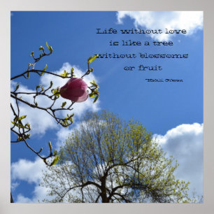 Póster La vida sin amor está como