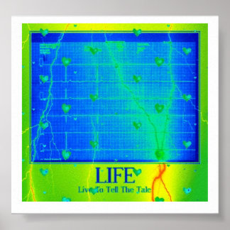 Póster La Vida - Vivir Para Contar La Historia