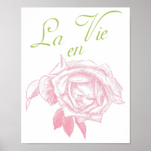 Póster la vie en rosa