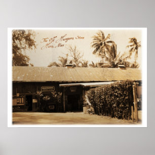 Póster La vieja tienda Hasegawa