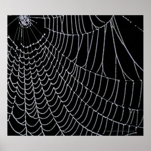 Póster La web de Spider   Imprimir