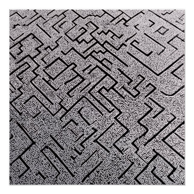 Póster Laberinto Intrincado de Blanco y Negro (Anverso)