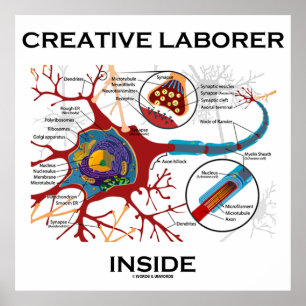 Póster Laborador creativo interno (Neurón/Sinapsis)