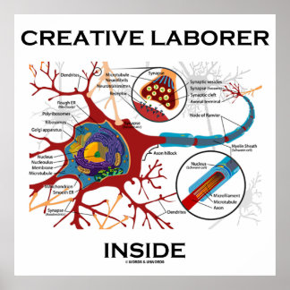 Póster Laborador creativo interno (Neurón/Sinapsis)