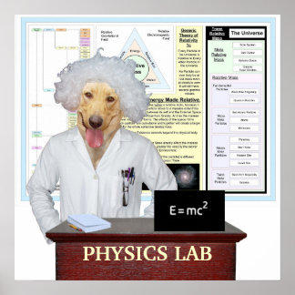 Póster Laboratorio de Física
