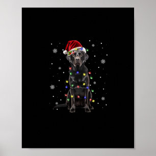 Póster laboratorio negro navidades de perros luces de nav