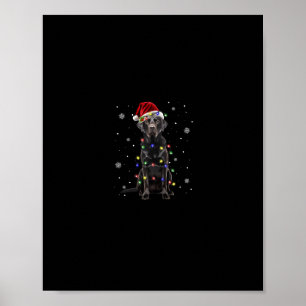 Póster laboratorio negro navidades de perros luces de nav