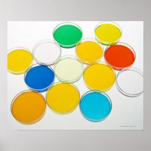 Póster Laboratory Dish 2