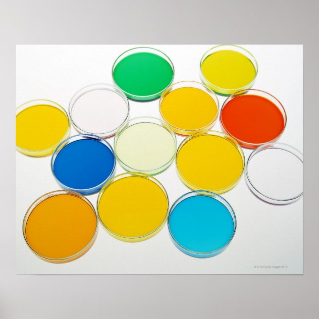 Póster Laboratory Dish 2 (Frente)