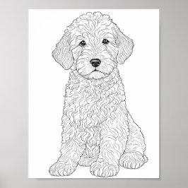 Póster Labradoodle Coloración de adultos