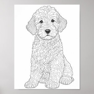 Póster Labradoodle Coloración de adultos