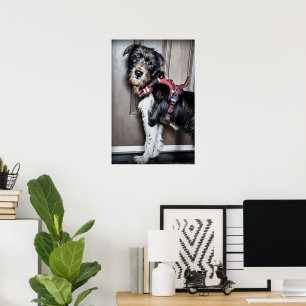 Póster "Labradoodle Puppy" por Poster Caminata