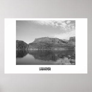 Póster Labrador