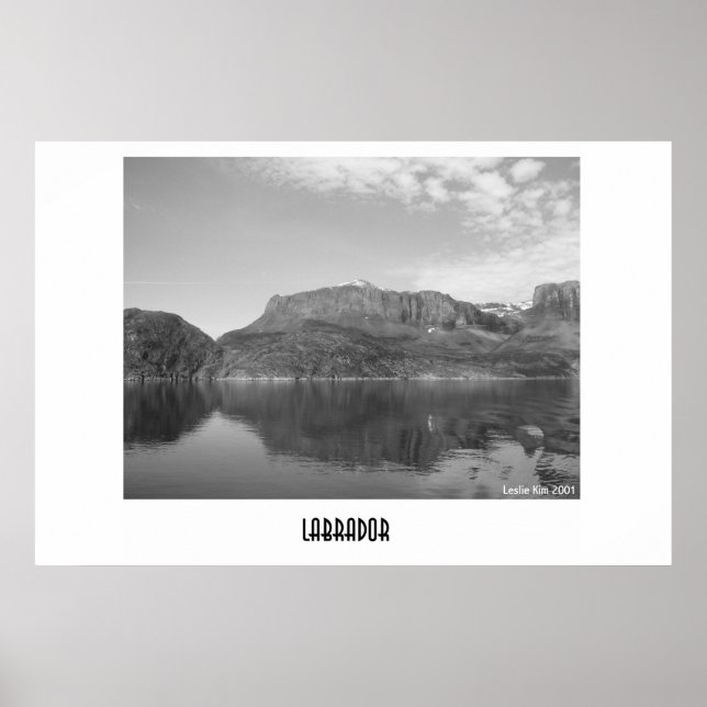 Póster Labrador (Frente)