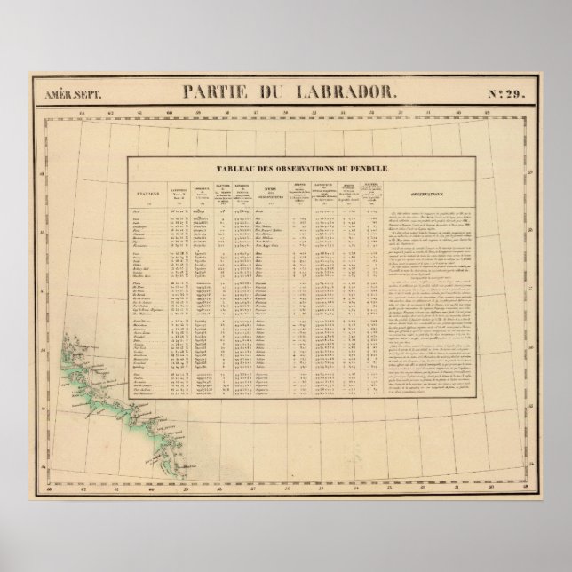 Póster Labrador 29 (Frente)