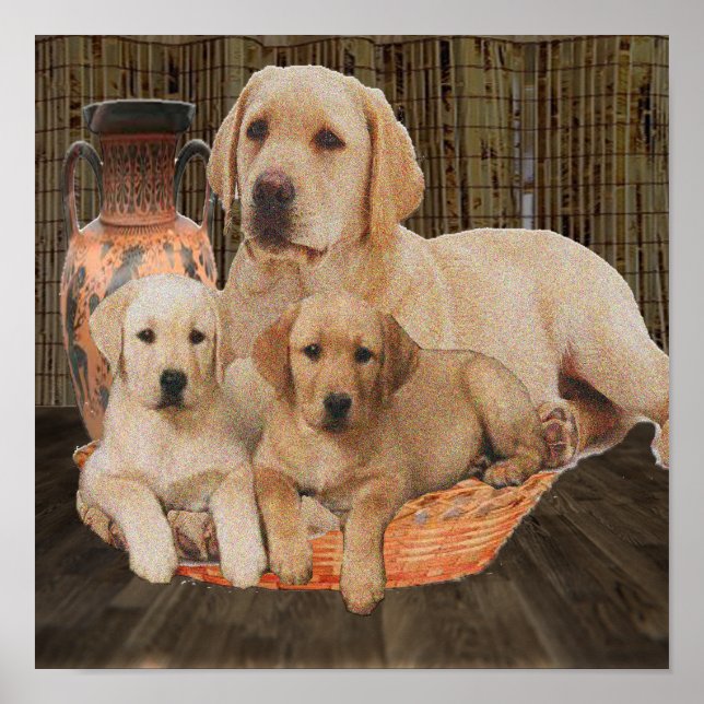 Póster labrador adorables cachorros (Frente)