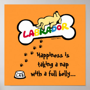 Póster Labrador amarillo con un Personalizado de barriga