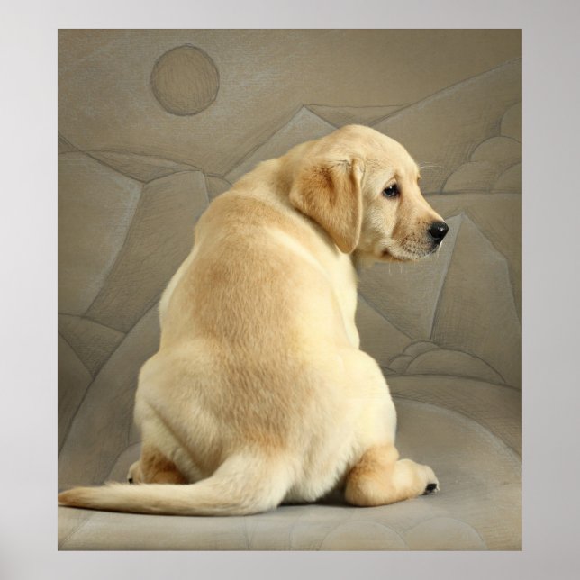 Póster Labrador amarillo recuperador cachorro (Frente)