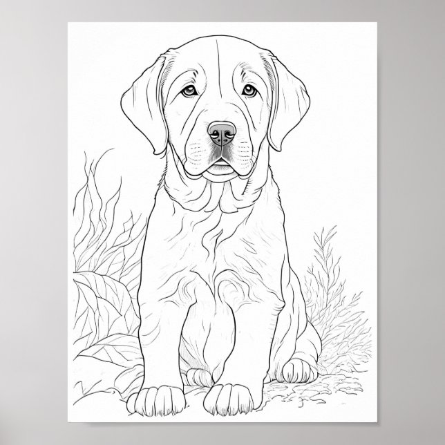Póster Labrador de perro perro perro colorante adulto (Frente)