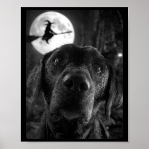 Póster Labrador divertido selfie luna llena volando mujer