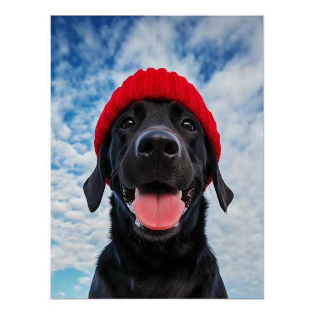 Póster Labrador feliz en una Beanie Roja bajo un cielo az (Anverso)