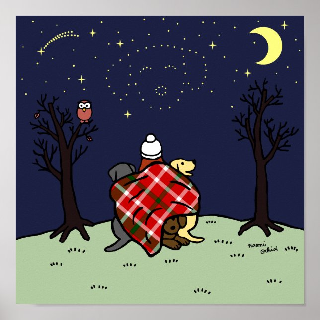 Póster Labrador Mom y Starry Sky (Frente)