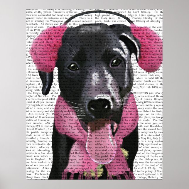 Póster Labrador negro con bocanadas de oído (Frente)