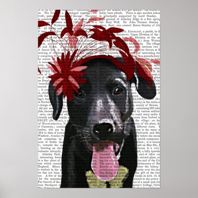 Póster Labrador Negro Con Fascinador Rojo (Frente)