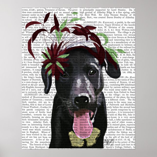 Póster Labrador Negro Con Fascinador Verde (Frente)