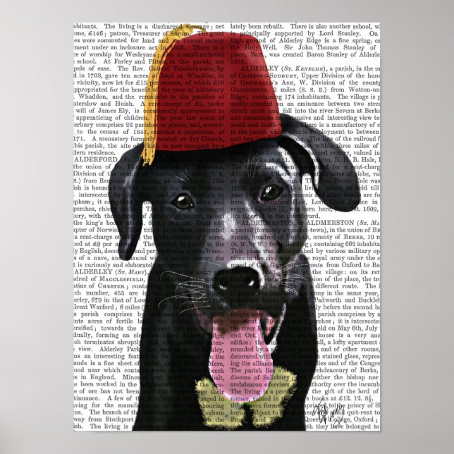 Póster Labrador negro con fez (Frente)