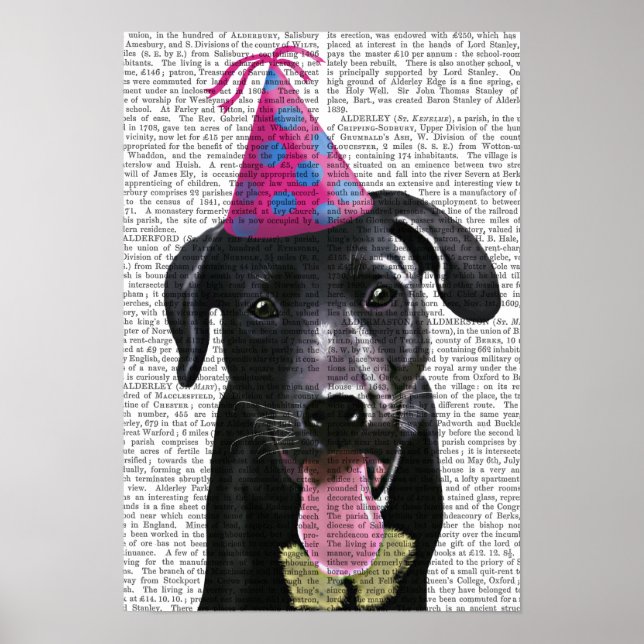 Póster Labrador negro con Gorra Fiesta (Frente)
